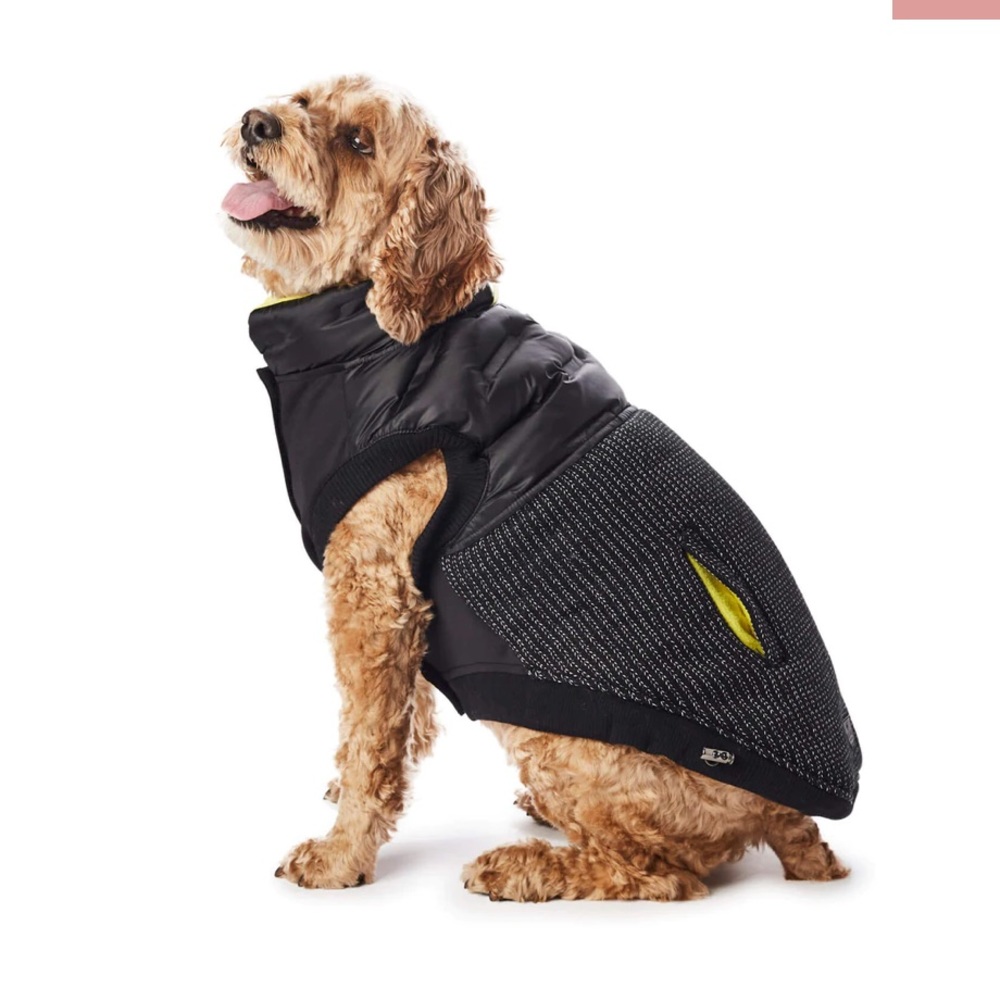 Hotel Doggy Adventure Wear - Hybrid Vest, Black. - Picture 2 of 10